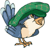 uccellino cappello.gif